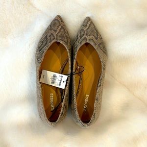 Express Pointed-toe Snake Skin Flats